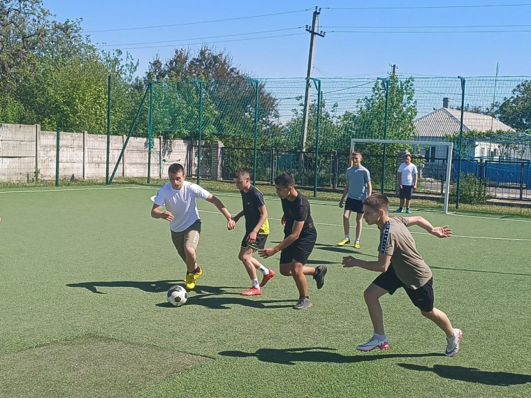 Спортивные соревнования по футболу.